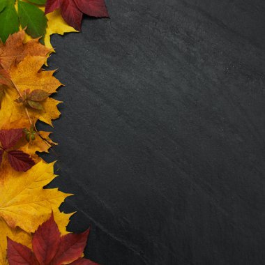 Tahtaya sonbahar yaprakları