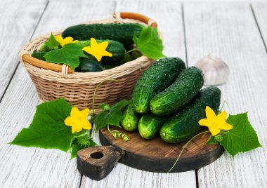 Bir tablo üzerinde taze salatalık