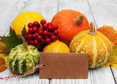 kabaklar ve yaprakları