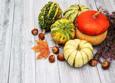 Sonbahar yapraklı balkabakları