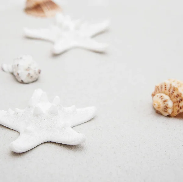 Seashells and starfish border — Stock Photo, Image