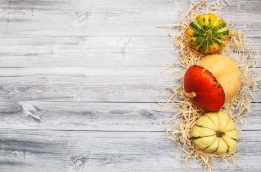 Sonbahar yapraklı balkabakları