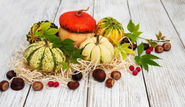 Sonbahar yapraklı balkabakları