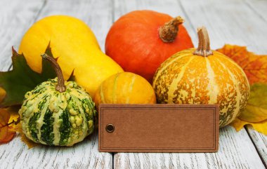 kabaklar ve yaprakları