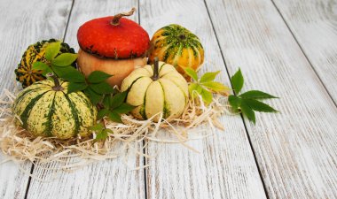 Sonbahar yapraklı balkabakları