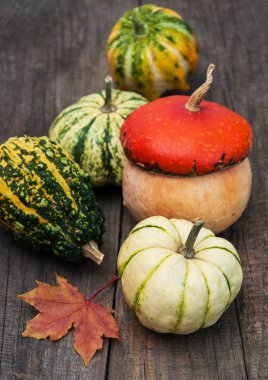 Sonbahar yapraklı balkabakları