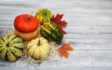 Sonbahar yapraklı balkabakları