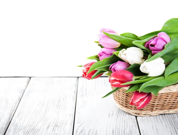 Bouquet of tulips — Stock Photo, Image