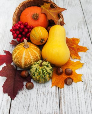 kabak ve yaprakları