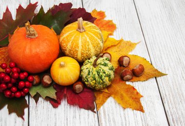 kabak ve yaprakları