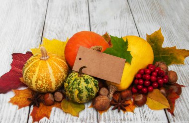 kabaklar ve yaprakları