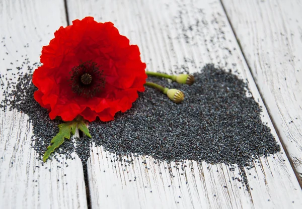 Semillas de amapola y flores — Foto de Stock