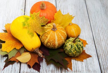 kabaklar ve yaprakları