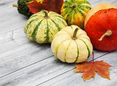 Sonbahar yapraklı balkabakları