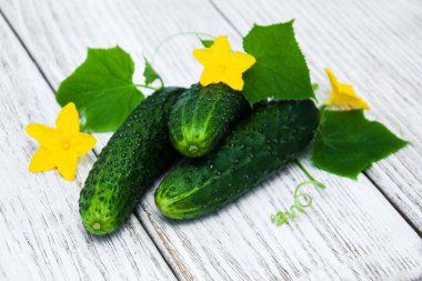 Bir tablo üzerinde taze salatalık