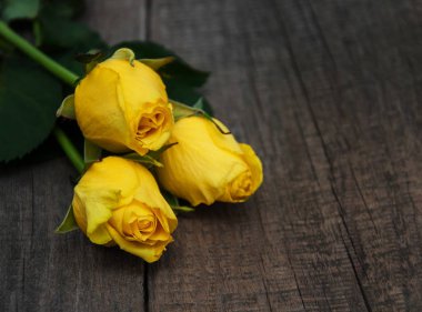 Bir tablo üzerinde Sarı Gül