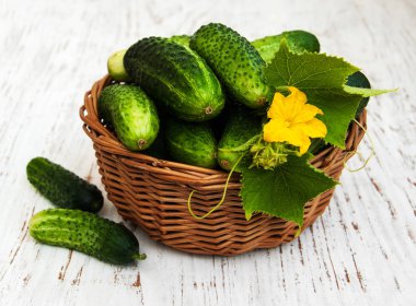 Bir tablo üzerinde taze salatalık