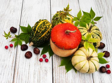 Sonbahar yapraklı balkabakları
