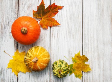 kabaklar ve yaprakları