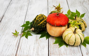 Sonbahar yapraklı balkabakları