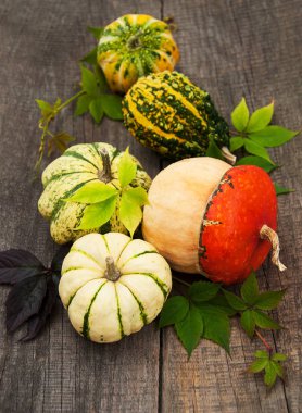 Sonbahar yapraklı balkabakları