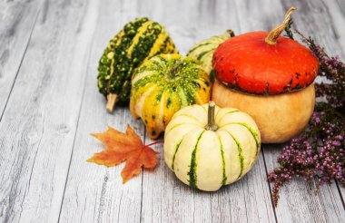 Sonbahar yapraklı balkabakları