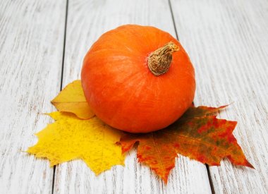 kabak ve yaprakları