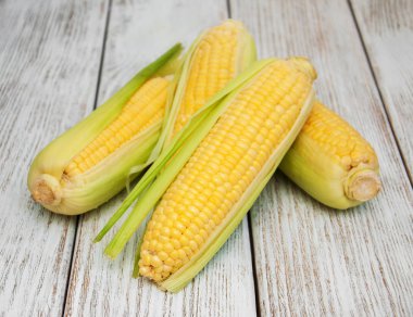 Koçanda taze mısır