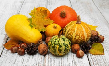 kabaklar ve yaprakları