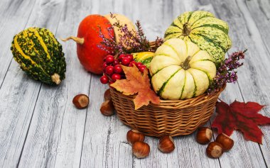 Sonbahar yapraklı balkabakları