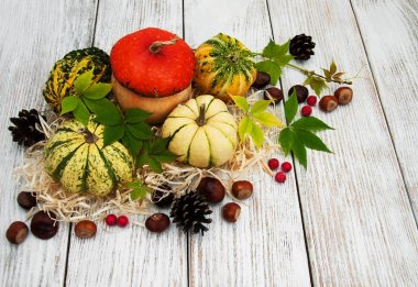 Sonbahar yapraklı balkabakları