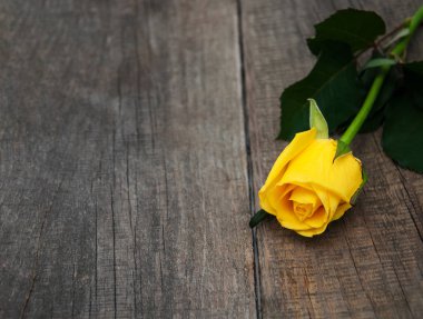 Bir tablo üzerinde Sarı Gül
