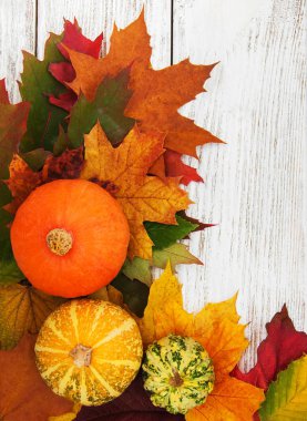 kabak ve yaprakları