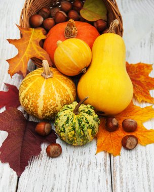 kabak ve yaprakları