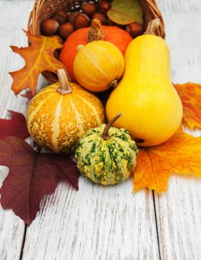 kabak ve yaprakları