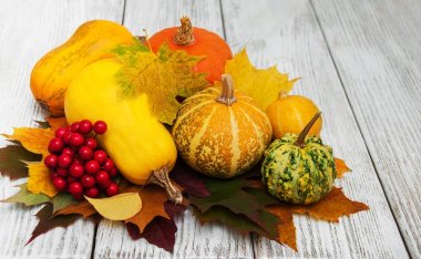 kabaklar ve yaprakları