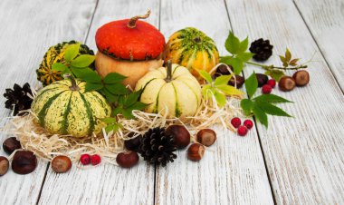 Sonbahar yapraklı balkabakları