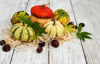 Sonbahar yapraklı balkabakları