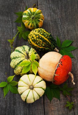 Sonbahar yapraklı balkabakları