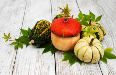 Sonbahar yapraklı balkabakları