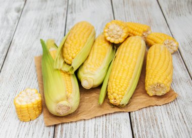 Koçanda taze mısır