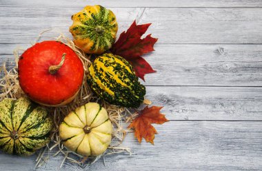 Sonbahar yapraklı balkabakları