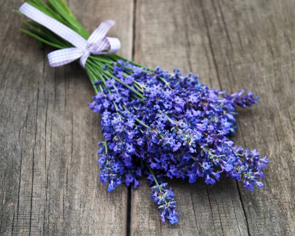 Bunch of lavender — Stock Photo, Image