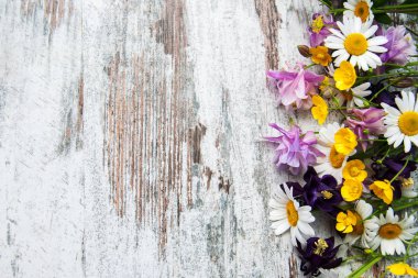 kır çiçekleri bir tablo