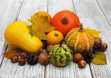 kabaklar ve yaprakları