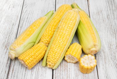 Koçanda taze mısır