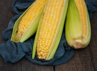 Koçanda taze mısır