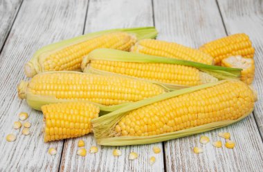 Koçanda taze mısır