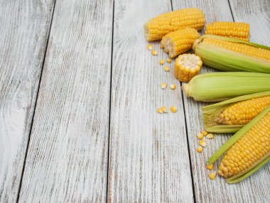 Koçanda taze mısır