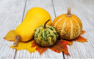 kabaklar ve yaprakları